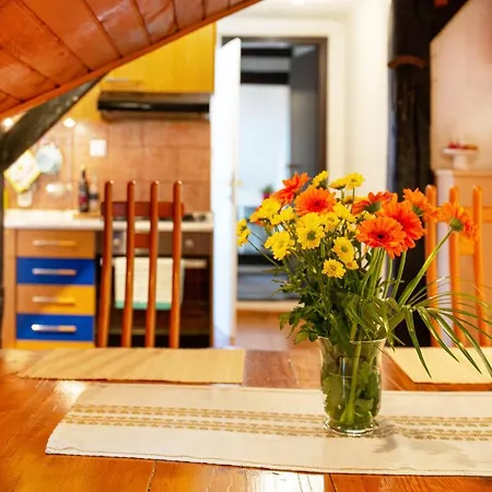 Apartman Mansarda Roof Center Ljubljana